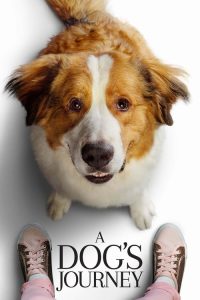 A Dog’s Journey (2019) {English With Subtitles} BluRay Full Movie 480p 720p 1080p
