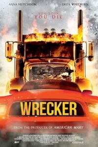 Wrecker (2016) WEB-DL Dual Audio {Hindi-English} Full Movie 480p 720p 1080p