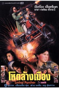 Download Lethal Panther (1990) BluRay Dual Audio {Hindi-English} Full Movie 480p 720p 1080p