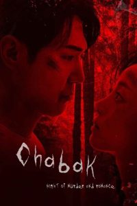 Download Chabak – Night of Murder and Romance (2023) WEB-DL Dual Audio {Hindi-Korean} Full Movie 480p 720p 1080p