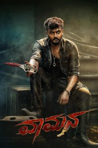 Download Vaamana (2025) Dual Audio [Hindi DD2.0 + Kannada DD5.1] WEB-DL Full Movie 480p 720p 1080p