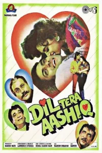 Download Dil Tera Aashiq (1993) Hindi Full Movie 480p 720p 1080p